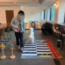 원주유치원 이미지