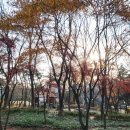 청우미트 - 사상구 | 청우미트