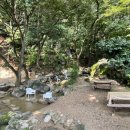 애견 쌀롱 이미지