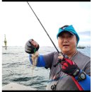 20250914 쭈꾸미 대첩 정출 이미지