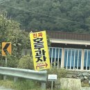 계룡산1박2일 | 충남 공주 부여 1박2일 여행 후기