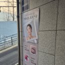 논현그린약국 | 강남 신논현역 퍼스널 자연눈썹 잘하는 곳, 스튜디오 요코서울 대만족