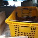 달구회관 이미지