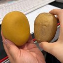 아트박스서면역사점 | [아트박스] 대구 반월당역 역사점/길쭉, 감자빵 말랑이 구매 후기