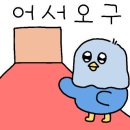 디스이즈모름 이미지