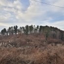 들레목장 이미지