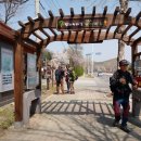[평화누리길] 7 (헤이리길) 성동사거리에서 반구정까지 (후기)