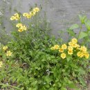 성문고등학교 이미지