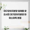 행복한강아지 | 대구강아지분양 업체를 찾으시면 대구강아지분양 마마스미독 본점