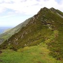 달샘목장 이미지