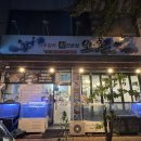 오촌산오징어 | 전주 서신동 맛집 "오촌" 산오징어회 맛집 내돈내산