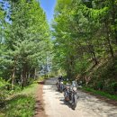 평창강로 이미지