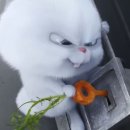 가이드센터