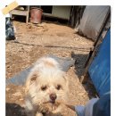 3.7 포천애신동산 봉사후기(2)
