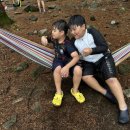 감사랑용인대힘찬태권도장 이미지