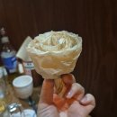 전주난장 | 8월의 전주여행/객리단길,한옥마을,전주난장 후기