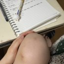 태성조경산업 | 연두색 취준일기(7월)