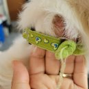 씨앤모텔 이미지