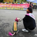 유림-1100 이미지