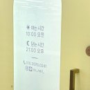 영스네일 이미지