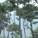 삼지재 | 깊은 갈색의 사연 화순 삼지재(三芝齋)