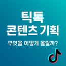 틱톡 콘텐츠 기획 및 주제 선정 방법
