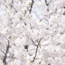 신곡교(상) - 횡성군 | 신곡교(상)