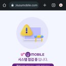 더모아 이미지
