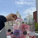 서천사랑병원 | 일상 블로그 5월 일상 정리