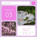 뉴진스 《How Sweet》 봄 피크닉 플레이리스트 🌸 | 2026년 5월 케이팝 봄 감성 노래 추천