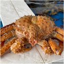 대포 크랩 이미지