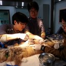 지리산동물병원 이미지