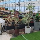 대덕농장1 이미지