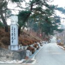 금적산