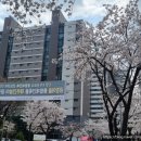 금강부동산중개사무소 이미지