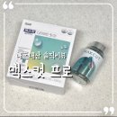 맥스헬스 | 헬스헬퍼 맥스컷 후기 내돈내산 다이어트보조제 (feat. 고경표 다이어트)