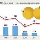 안성농약 이미지