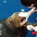 아쿠아플라넷 일산 이미지