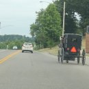 (주)호가 이미지