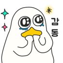 (주)레임 이미지