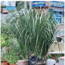 만나밥상 이미지