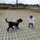 수리야 놀자 이미지