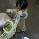 벅스네 | 인천 실내 아이와함께 가볼만한 곳 쥬벅스 후기