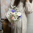 보라자판기 이미지