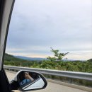 종합운동장 | [일상] 20250621 대구FC 강원전 강릉종합운동장 후기