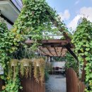 청도편백숲하우스 이미지