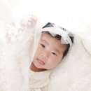 나무그늘헤어