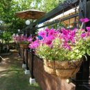 숲속의정원 이미지