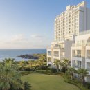 제주동네부동산중개 이미지