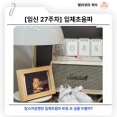 바나나동물병원 | [임신 27주차] 울산 맘스여성병원 입체초음파 비용 코 실물은?